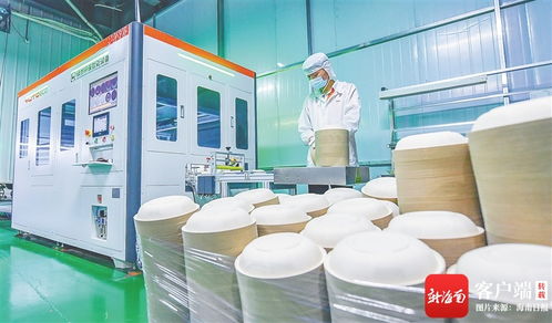 變 看海口國(guó)家高新區(qū)云龍產(chǎn)業(yè)園甘蔗渣變成環(huán)保餐具