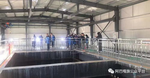 走進(jìn)污水處理廠 錫林郭勒盟阿巴嘎旗開展環(huán)保設(shè)施向公眾開放活動(dòng)
