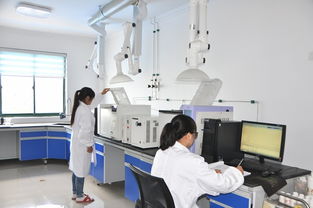 攜環保與經濟共達彼岸 安慶新媒體經濟行走進安慶鑫祥瑞環保科技