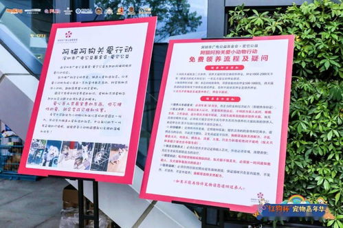 長期代理銷售伯納天純 正品保障，天天優惠，接單即發